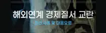해외연계 경제질서 교란